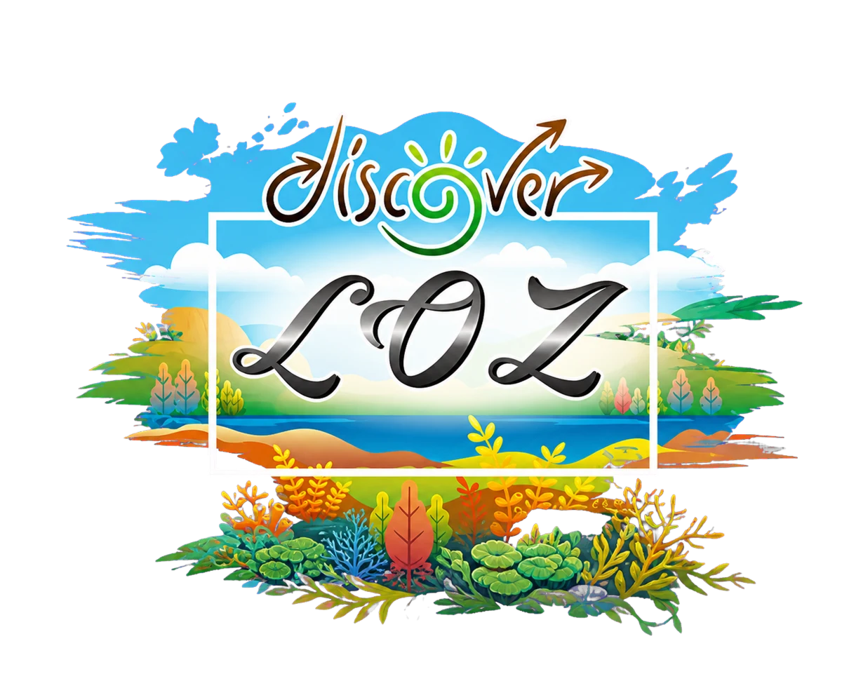 Discover LOZ